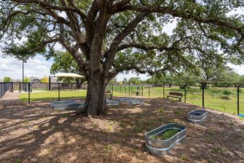 Community garden